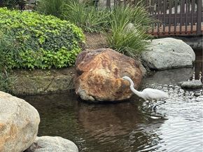 4140 Workman Mill 253, Whittier CA 90601