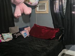 1206 S Shelton St, Santa Ana CA 92707