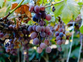 4607 Earle Avenue, Rosemead CA 91770