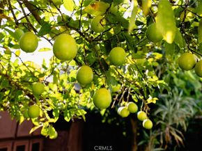 4607 Earle Avenue, Rosemead CA 91770