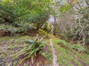 7171 Homewood Drive, Oakland CA 94611