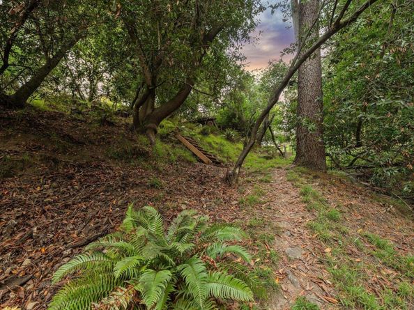 7171 Homewood Drive, Oakland CA 94611