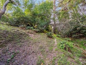 7171 Homewood Drive, Oakland CA 94611