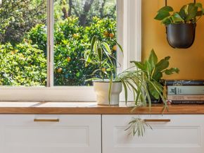 6004 Orchard Ave, Richmond CA 94804