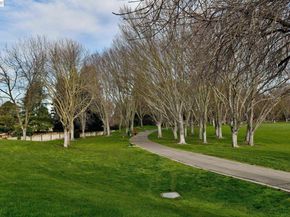 181 Paraiso Dr, Danville CA 94526