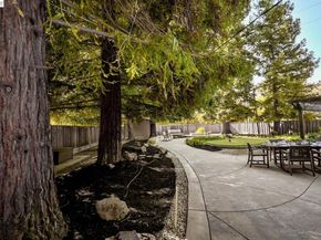 181 Paraiso Dr, Danville CA 94526