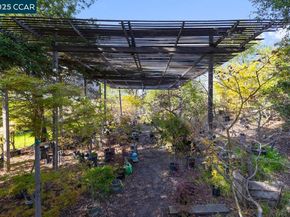 1101 Scots Ln, Walnut Creek CA 94596