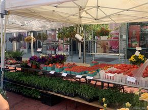 300 Martine Ave 3L, White Plains NY 10601