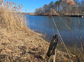 76 Riviera Drive, Mastic NY 11950