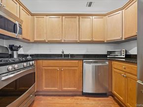 133 Spring Drive 133, East Meadow NY 11554