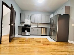 165 chestnut street, Brooklyn NY 11208