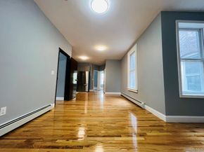 165 chestnut street, Brooklyn NY 11208