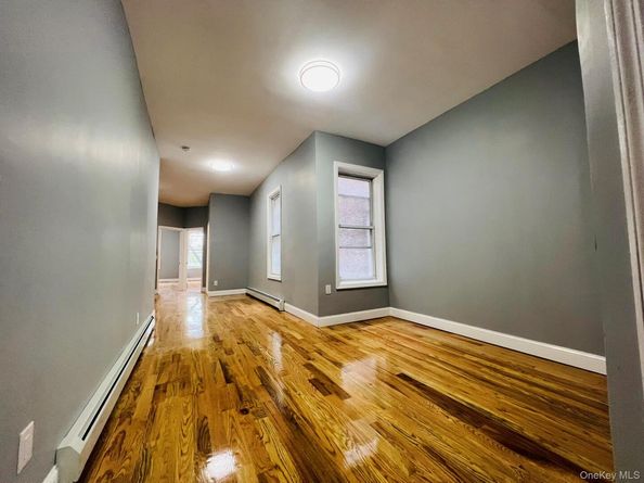 165 chestnut street, Brooklyn NY 11208