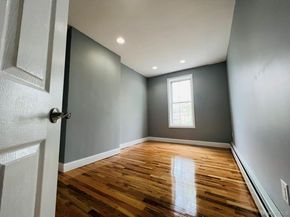 165 chestnut street, Brooklyn NY 11208