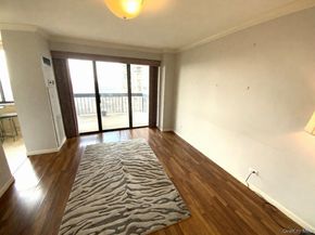 27110 Grand Central Parkway 16N, Floral Park NY 11005