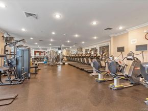 568 Pacing Way 568, Westbury NY 11590