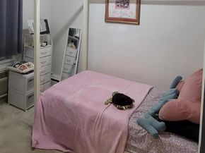 1199 E 53rd Street 7L, Brooklyn NY 11234