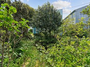 674 Rockdale Drive, San Francisco CA 94127