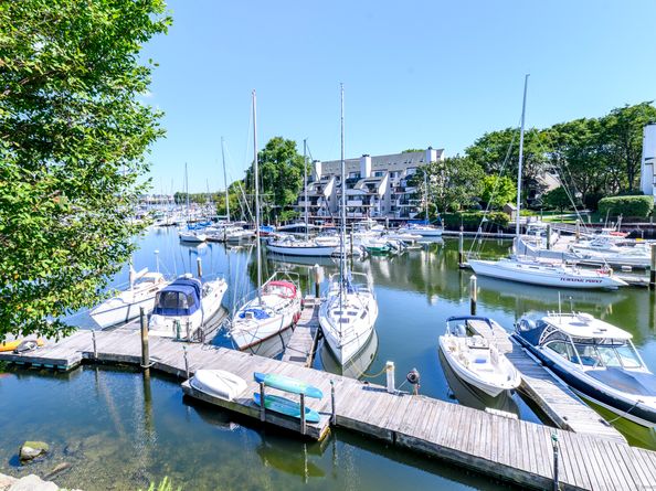 123 Harbor Drive Apt 311, Stamford CT 06902