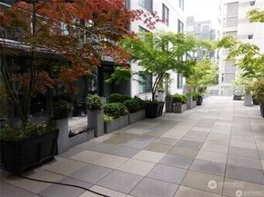 76 Cedar Street 608, Seattle WA 98121