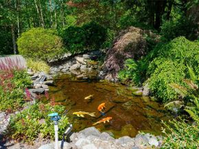 19119 SE 174th Street, Renton WA 98058
