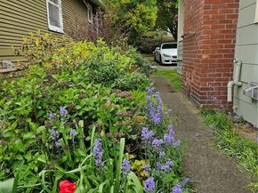 2615 47th Avenue SW, Seattle WA 98116