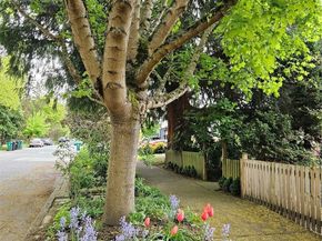 2615 47th Avenue SW, Seattle WA 98116