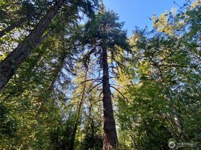3520 53rd Street SE, Auburn WA 98092