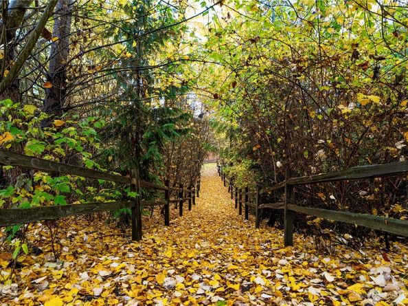 19717 27th Place W B, Lynnwood WA 98036