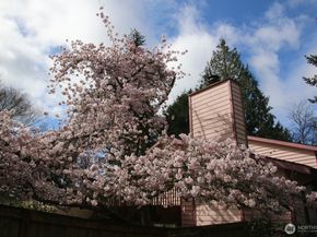 8129 NE 131st Street, Kirkland WA 98034