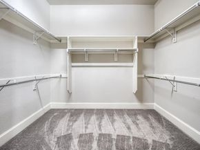 1224  Damsel Grey Trail , Lewisville Texas 75056