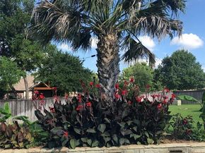 312  Lakeside Oaks Circle , Lakeside Texas 76135