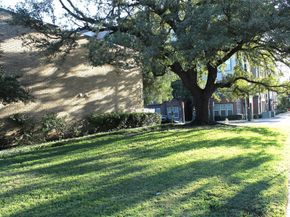 2702  Douglas Avenue  106, Dallas Texas 75219