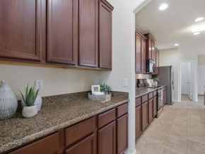 1108  Black Cherry Drive , Aubrey Texas 76227