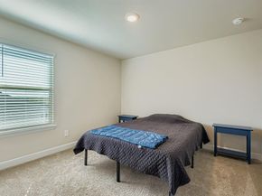 1309  Vintage Drive , Cedar Hill Texas 75104