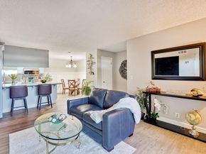 259 Capitol 163, San Jose CA 95127