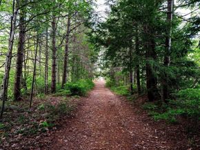 110 West Shore Drive, Ashburnham MA 01430