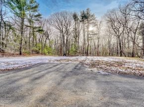 28 Blueberry Lane, Lincoln MA 01773