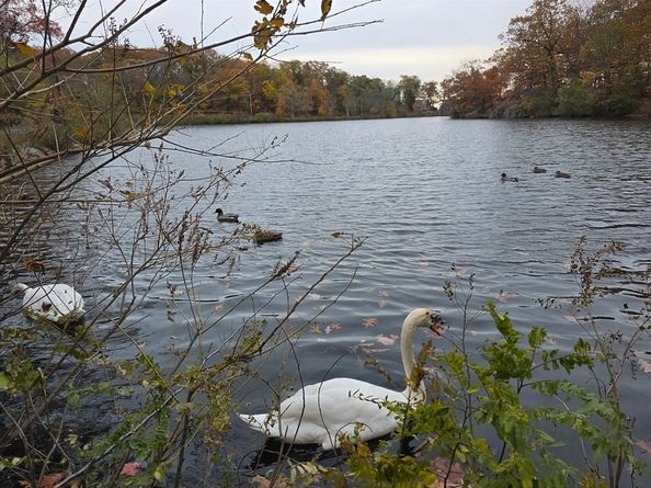 78 Cushing Rd, Malden MA 02148