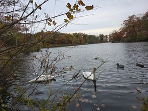 78 Cushing Rd, Malden MA 02148