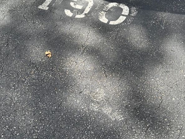 273 Cambridge Rd 202, Woburn MA 01801