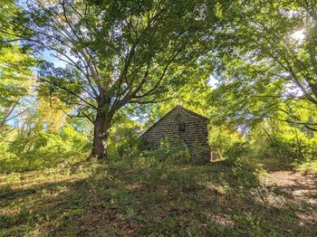 34 Ring Rd