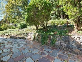 14 Willard Street, Waltham MA 02451