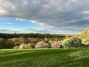 3850 Washington St 6, Boston MA 02131