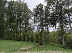 238 Barre Paxton Rd 238, Rutland MA 01543