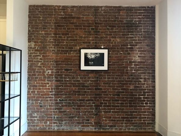 195 Beacon Street 8, Boston MA 02116