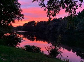 9 Stonecleve Rd, Wellesley MA 02482