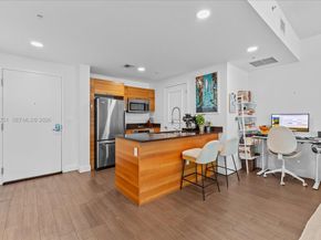 3301 NE 1st Ave L0202, Miami FL 33137