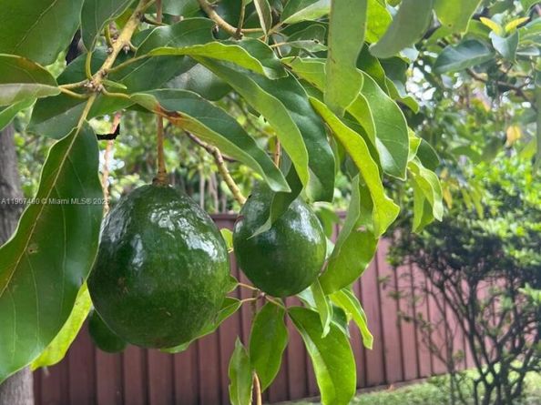 2001 N 41st Ave, Hollywood FL 33021