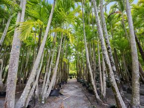 12263 Sandy Run Rd, Jupiter FL 33478